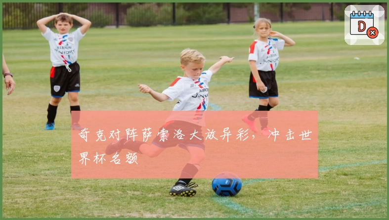 奇克对阵萨索洛大放异彩，冲击世界杯名额